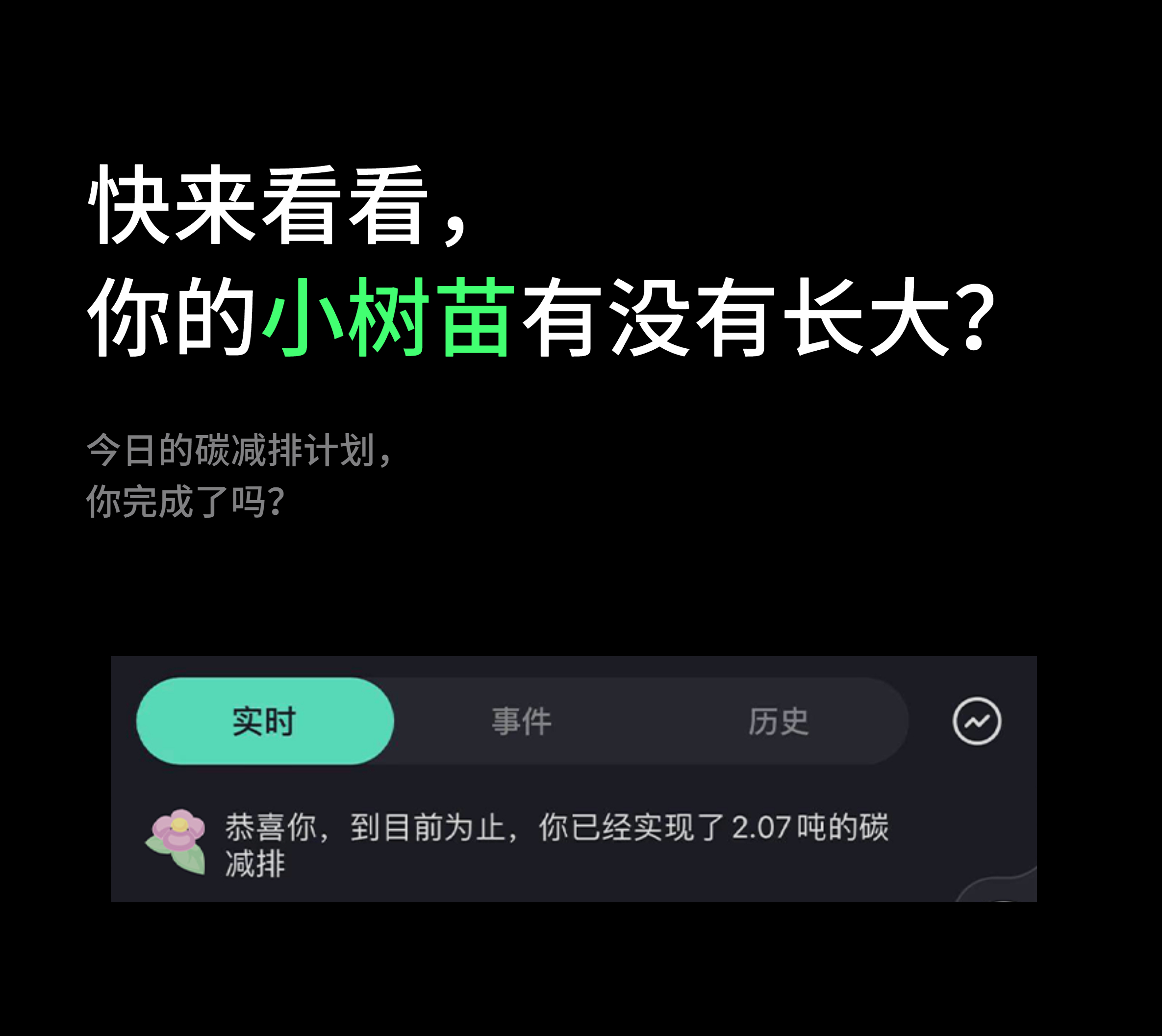 快来看看，你的小树苗有没有长大？今日的碳减排计划，你完成了吗？
